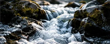 Clear water running over mossy rocks.